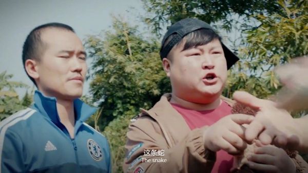 野外的蛋别乱捡,涉及到性命的财别乱贪,万物皆有灵
