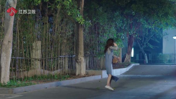 临时董事会上的事情小挺