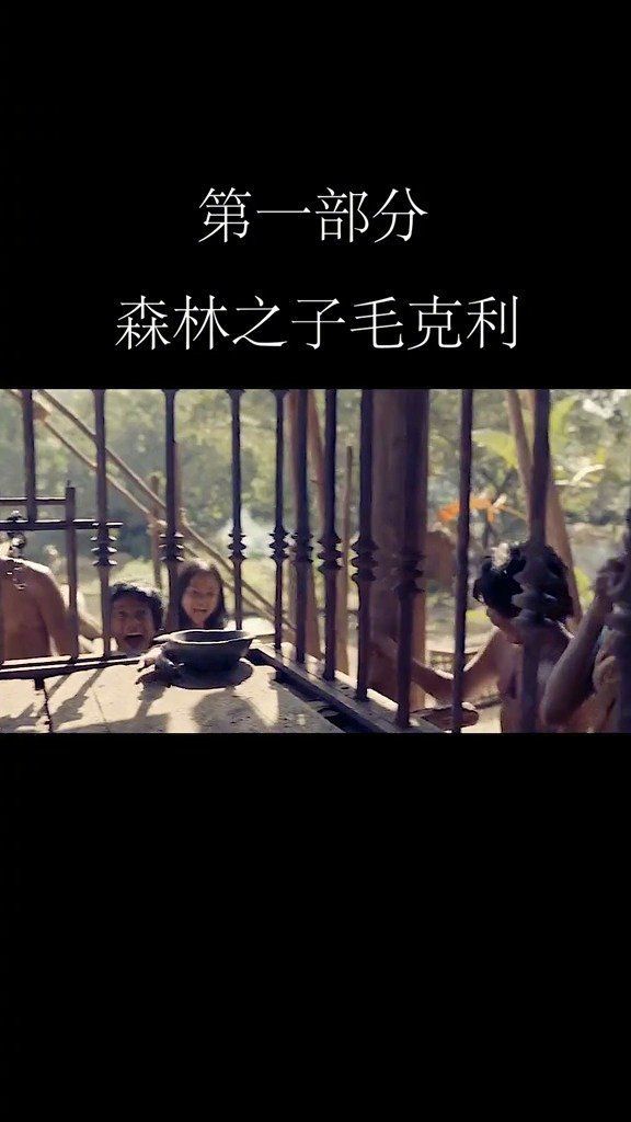 一部更新不完，下级更新毛克利如何手刃老虎电影