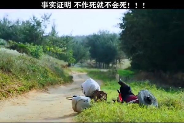 最后一位这是明目张胆的作死啊 笑喷了!!!