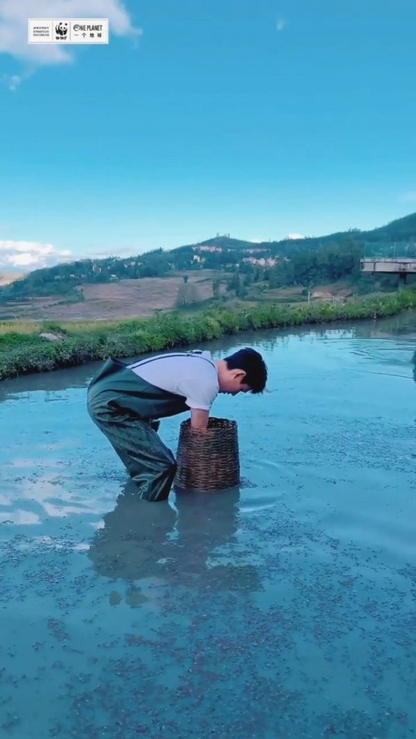 朱一龙抓到鱼的乐趣持续不到五秒……