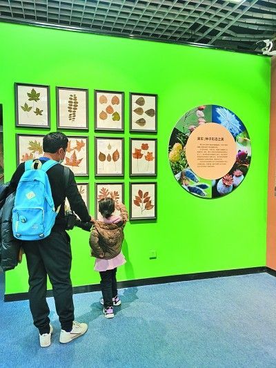     观众在北京自然博物馆参观展览。本报记者 詹媛摄/光明图片