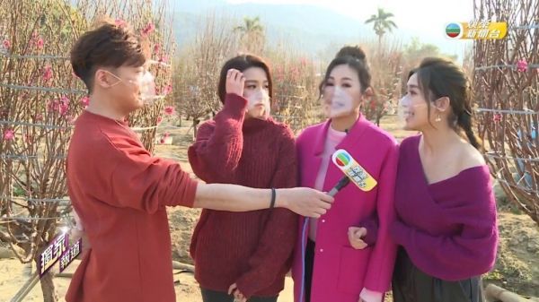 分享买年花心得 自爆因爲桃花而惹嚟狂蜂浪蝶?!