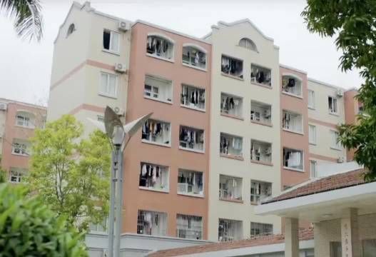 所以这就是…… 不怕沙雕多，就怕沙雕住一窝！！！