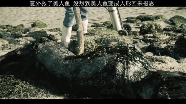 下段会有反转哦怪物乐园