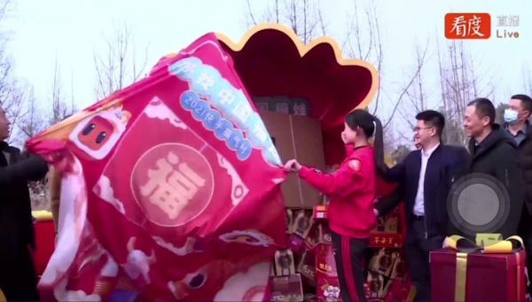《山海情》中马得宝一人带动全村种植蘑菇……