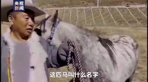 虽然不是很懂歌词，但就是觉得很好听！