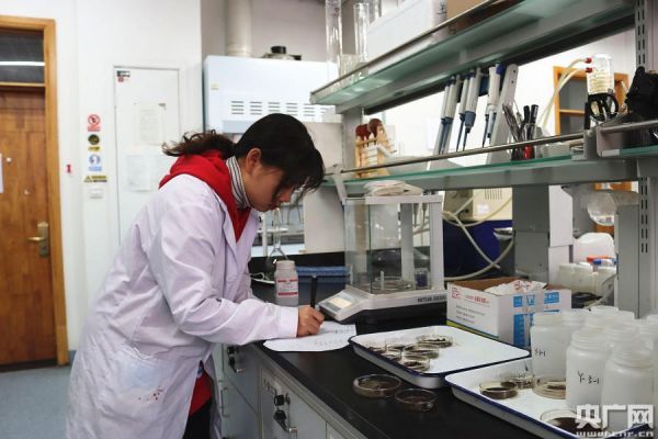 刘佳丽正在实验室做实验（央广网记者 刘昱 摄）