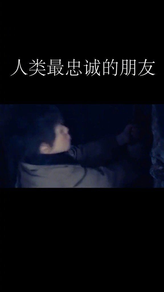 小男孩长得真好看电影