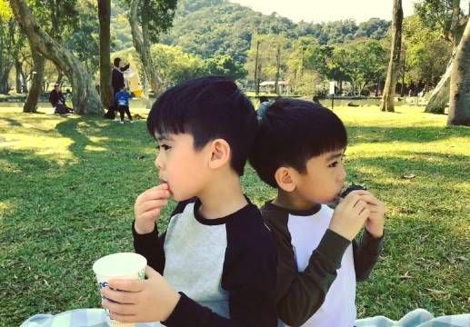 林志颖老婆晒亲子野餐照，双胞胎儿子好可爱