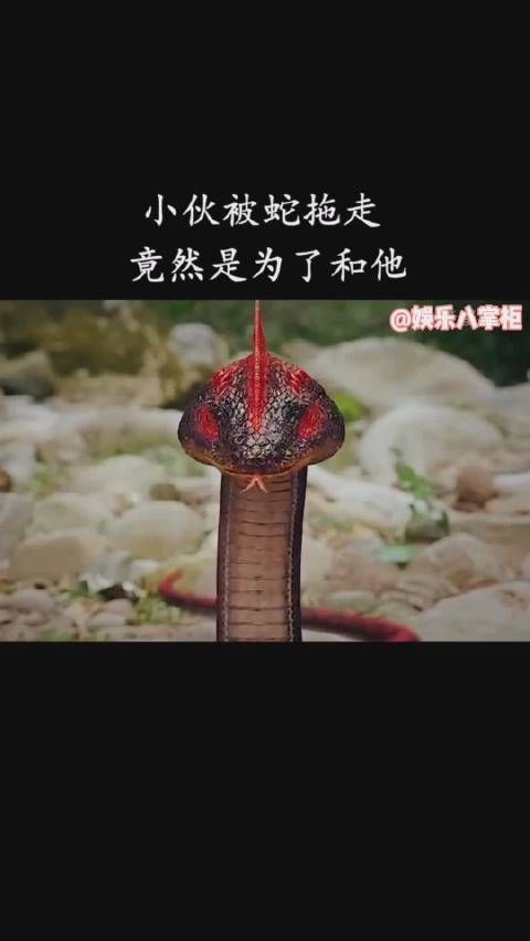 终极笔记第十五集cut 说好的铁三角……