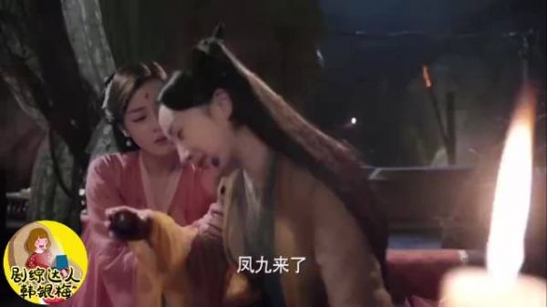 《三生三世十里桃花》值得三刷四刷……