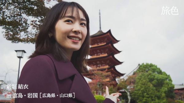 今年春节是没法出去旅游了……