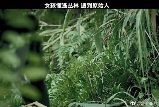 电影丛林少女之荒野逃生 女孩迷路丛林，遇到 熊 蛇 鳄鱼 挡路