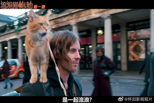 流浪猫鲍勃