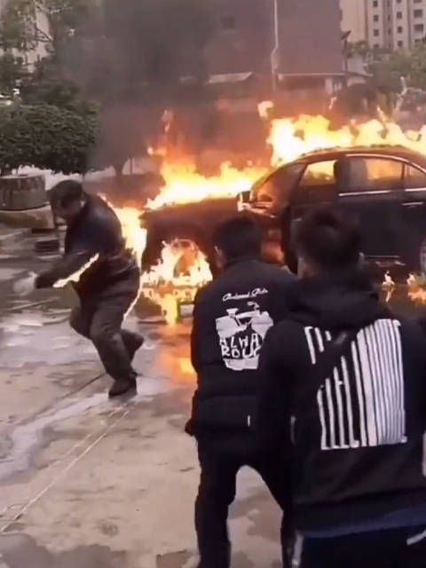 天呐,我看到这个视频真的心疼……