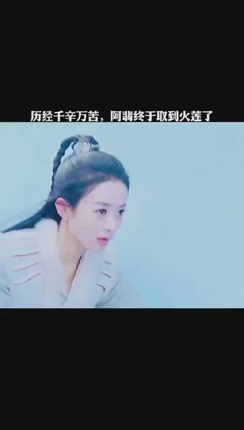 《有翡》第39集 历尽千辛万苦，周翡终于取到了火莲
