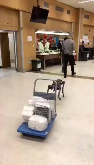 哈哈哈哈哈哈哈哈哈哈哈哈这个略显心酸的瘦小背影好可耐