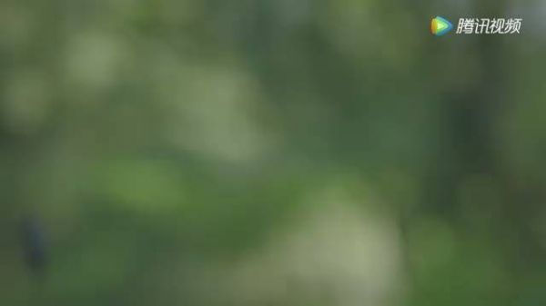 没有人能在五天的时间里绝对提升！