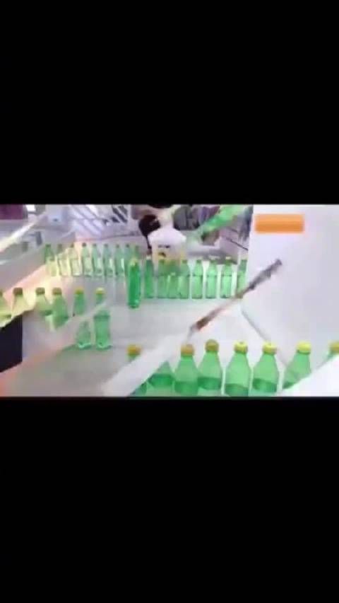 蔡依林的狗狗是我见过最爱笑的狗狗……