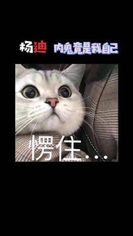 杨迪真的是一个宝藏男孩了，每一次看到他都觉得他超级好笑……