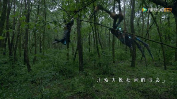 唐三应该是很多人都想要的那种靠谱队友吧？