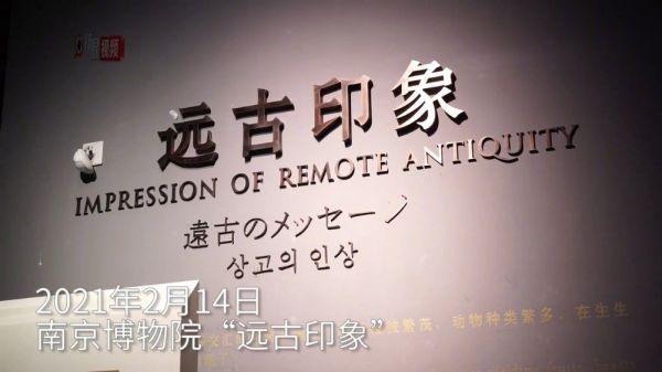 春节假期的小恐龙迷们