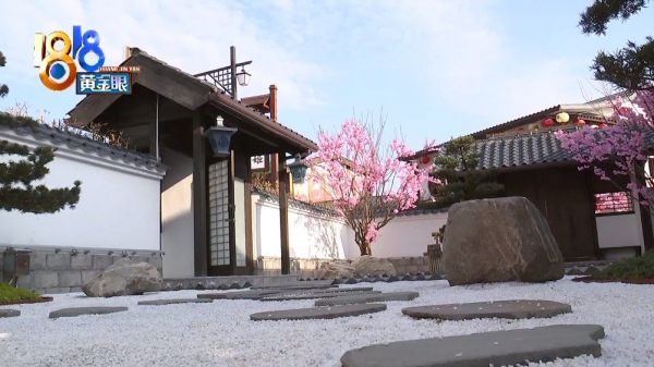 守护年味 “浙”里过年住进电影里 享受慢生活