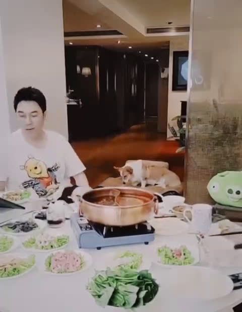 哈哈哈哈这全家福特别的林依轮说狗狗是宝贝……