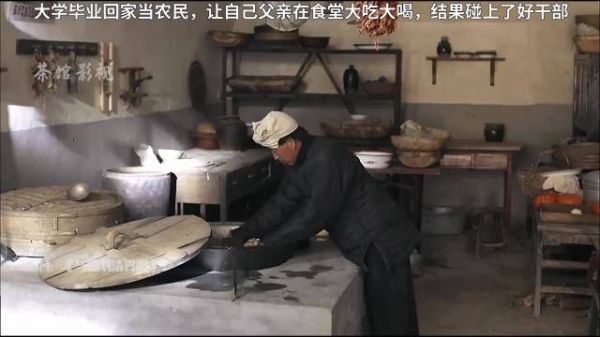 《平凡的世界》第3集 大学毕业回家当农民……