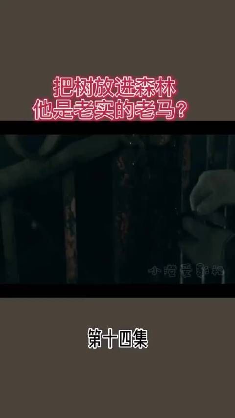 把树放进森林 他是老实的老马？