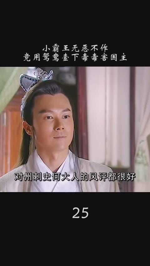 《龙游天下》第二十五集: ​​​小霸王无恶不作……