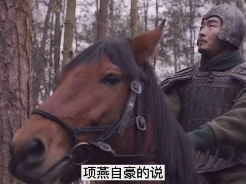 《大秦赋》第16集 鸾鸟究竟是何来头？