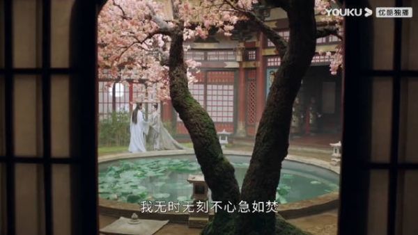 同样是恋爱脑,差距怎么这么大呢 ?