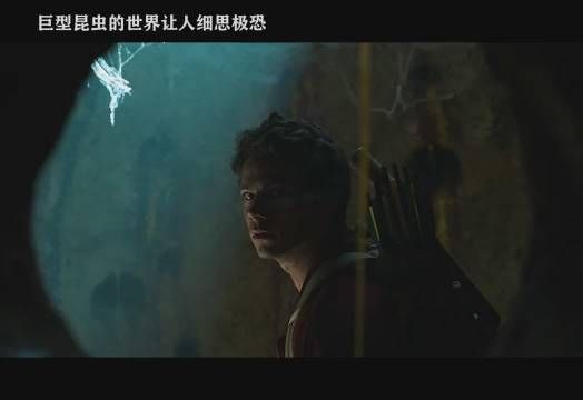 巨型昆虫的世界让人细思极恐