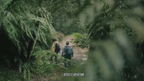 即便是亮相公司年会，也没落下爬山……