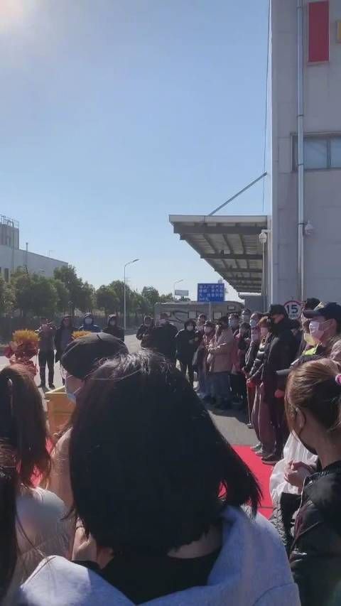 高圆圆、张鲁一、王耀庆、王真儿这都是什么神仙组合……