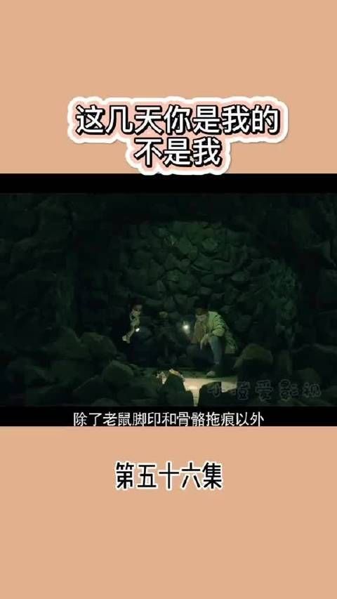 这几天你是我的 不是我
