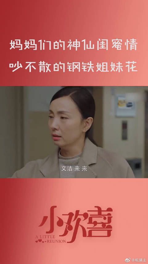 《小欢喜 》文洁,别慌,这都小场面,有哥罩着你……