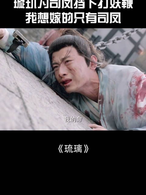 《琉璃》第29集:璇玑为司凤挡下打妖鞭……