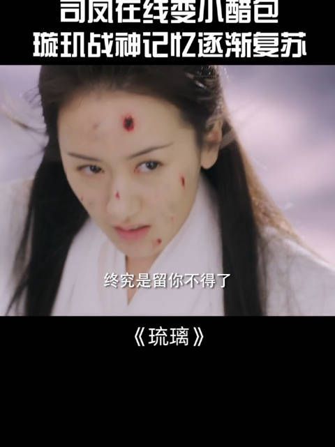 《琉璃》第39集:司凤在线变小醋包……