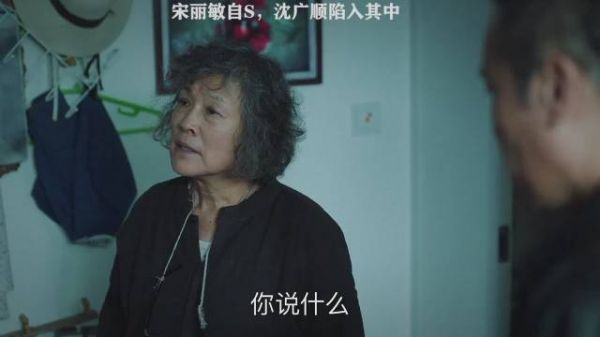 《巡回检察组》第二十四集,宋丽敏自杀,沈广顺陷入其中