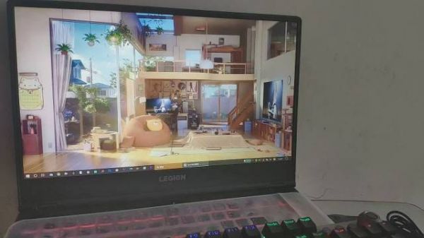 在家看霉霉的演唱会