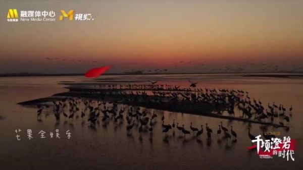 朱一龙《千顷澄碧的时代》电影首映朗读《念奴娇·追思焦裕禄》