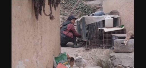 预告片来啦。这个爱奇艺自制扶贫主题网络纪录片真实地讲述了四川……