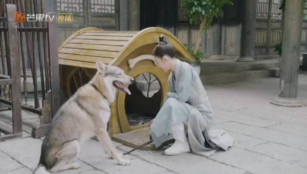 我要被玲珑优柔这对小姐妹笑死！