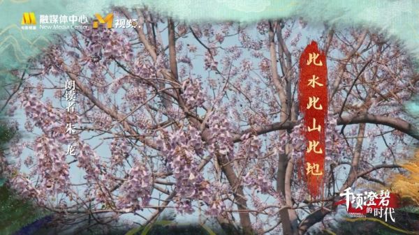 电影人@朱一龙 朗诵《念奴娇·追思焦裕禄》……
