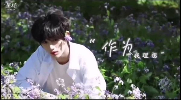 感谢你在暴风雨里成长，守住了所有的人最后的光……
