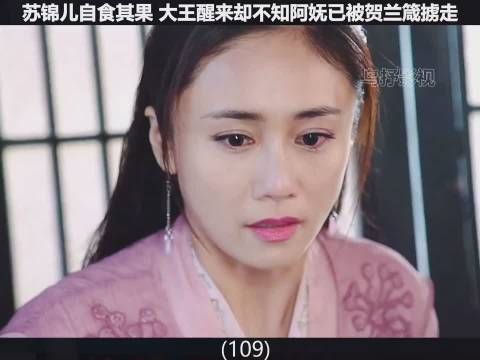上阳赋第四十一集 阿妩被掳去忽兰……
