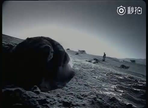 谢霆锋这么优秀的艺人当然不能放过！